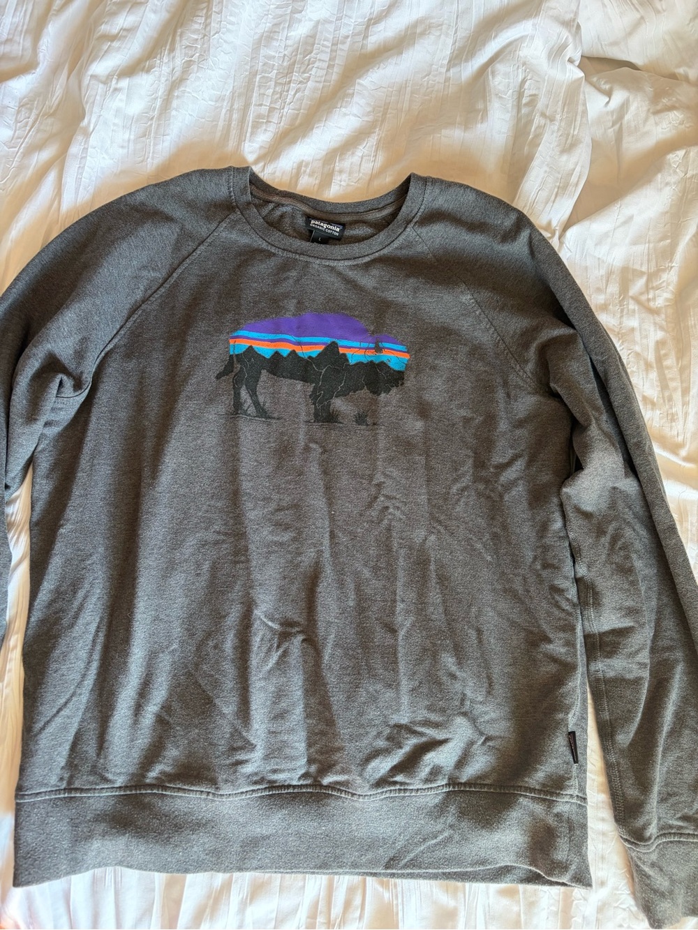 Patagonia Men’s Charcoal Crewneck Sweatshirt with Multicolor Buffalo Graphic